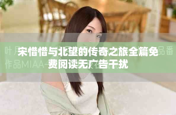 宋惜惜与北望的传奇之旅全篇免费阅读无广告干扰