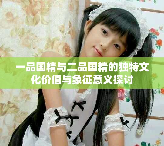 一品国精与二品国精的独特文化价值与象征意义探讨