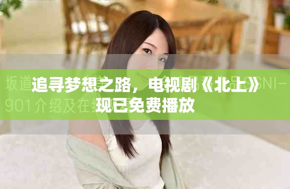 追寻梦想之路，电视剧《北上》现已免费播放