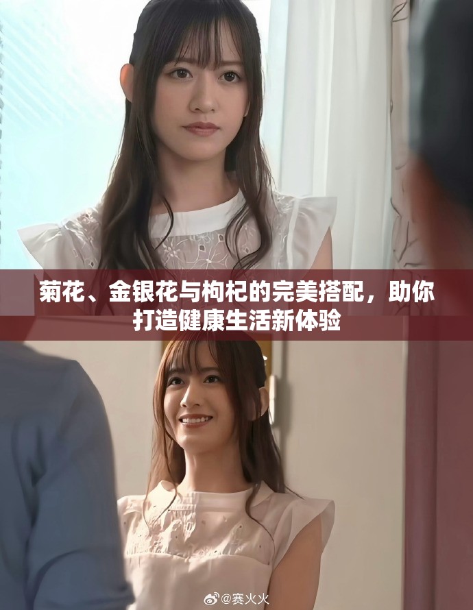 菊花、金银花与枸杞的完美搭配，助你打造健康生活新体验