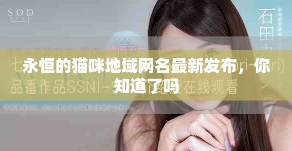 永恒的猫咪地域网名最新发布，你知道了吗