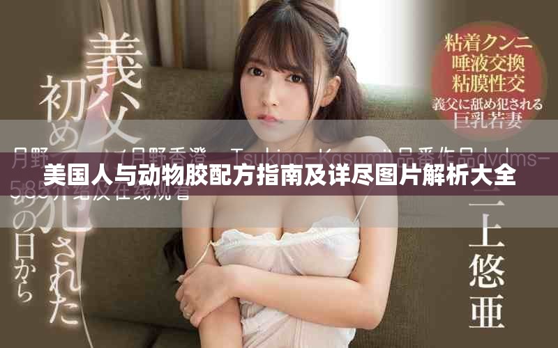 美国人与动物胶配方指南及详尽图片解析大全
