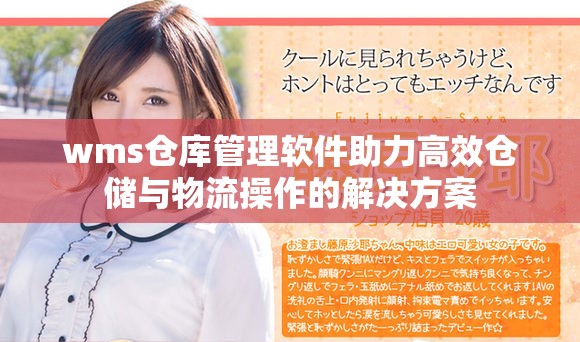 wms仓库管理软件助力高效仓储与物流操作的解决方案