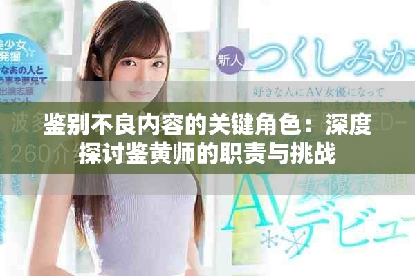 鉴别不良内容的关键角色：深度探讨鉴黄师的职责与挑战