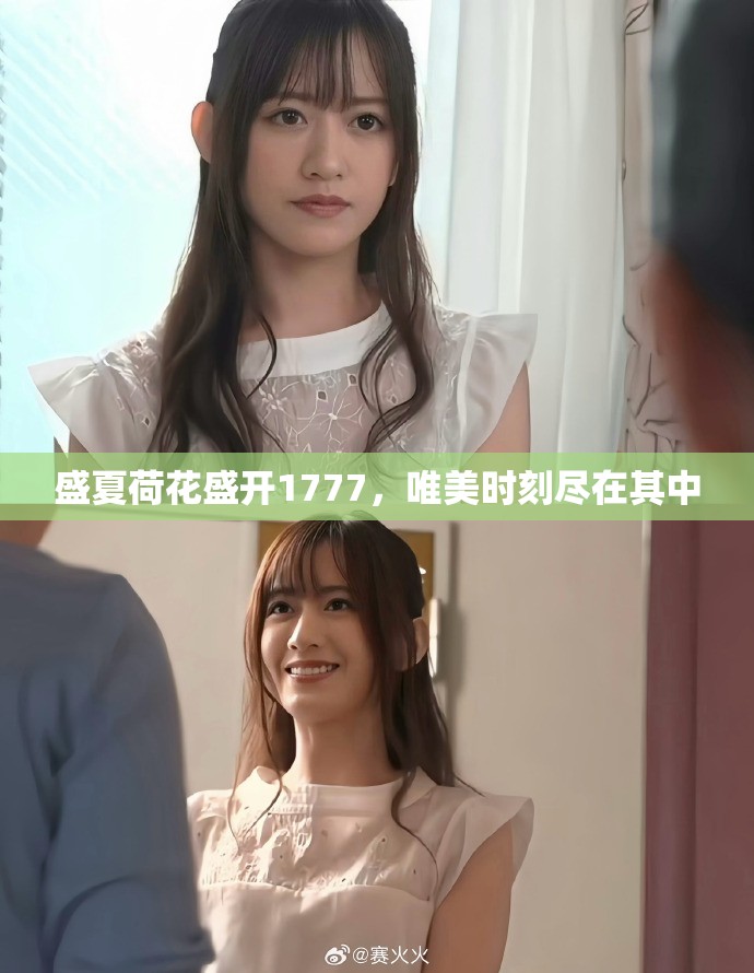 盛夏荷花盛开1777，唯美时刻尽在其中
