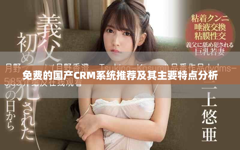 免费的国产CRM系统推荐及其主要特点分析