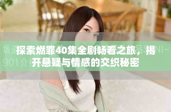 探索燃罪40集全剧畅看之旅，揭开悬疑与情感的交织秘密