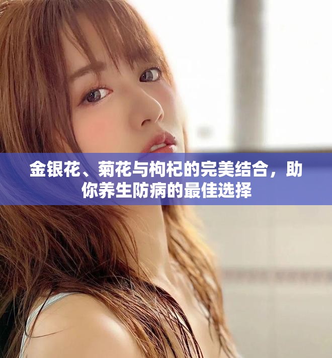 金银花、菊花与枸杞的完美结合，助你养生防病的最佳选择