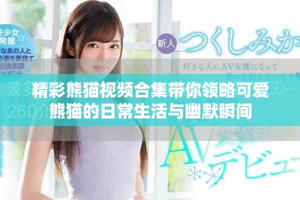 精彩熊猫视频合集带你领略可爱熊猫的日常生活与幽默瞬间