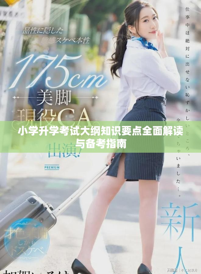 小学升学考试大纲知识要点全面解读与备考指南