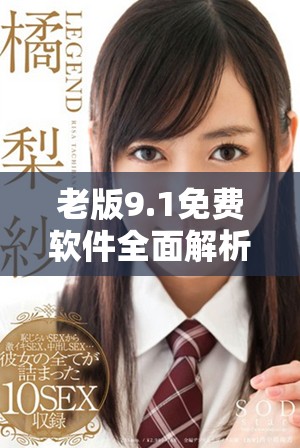 老版9.1免费软件全面解析与使用体验分享