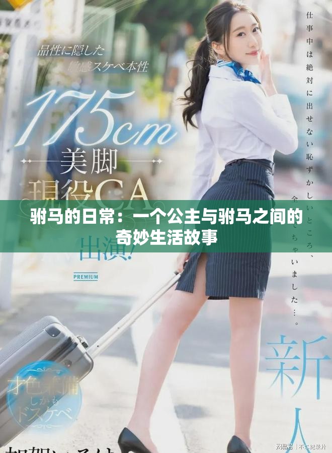 驸马的日常：一个公主与驸马之间的奇妙生活故事