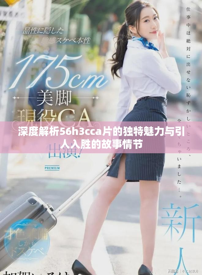 深度解析56h3cca片的独特魅力与引人入胜的故事情节