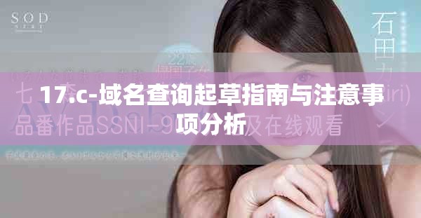 17.c-域名查询起草指南与注意事项分析