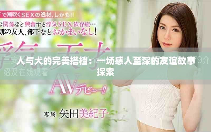 人与犬的完美搭档：一场感人至深的友谊故事探索