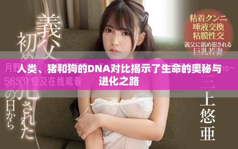 人类、猪和狗的DNA对比揭示了生命的奥秘与进化之路