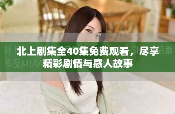 北上剧集全40集免费观看，尽享精彩剧情与感人故事