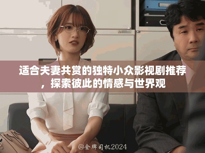 适合夫妻共赏的独特小众影视剧推荐，探索彼此的情感与世界观