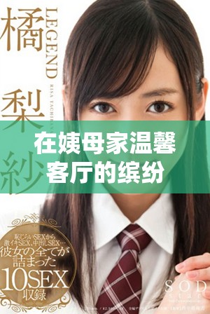 在姨母家温馨客厅的缤纷日常与凯帕克的故事探寻