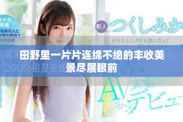 田野里一片片连绵不绝的丰收美景尽展眼前