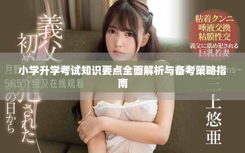 小学升学考试知识要点全面解析与备考策略指南