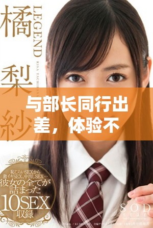 与部长同行出差，体验不同工作与生活的精彩旅程