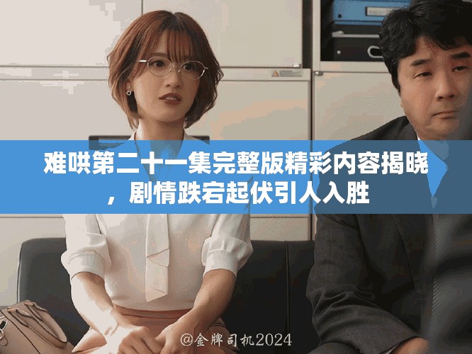 难哄第二十一集完整版精彩内容揭晓，剧情跌宕起伏引人入胜