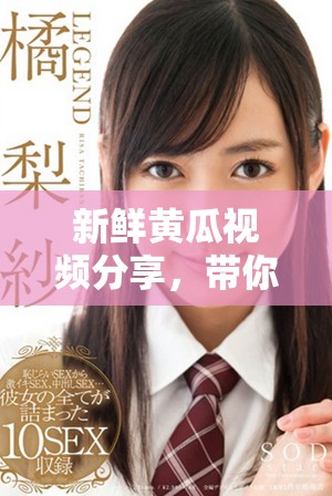 新鲜黄瓜视频分享，带你领略美味与健康的完美结合
