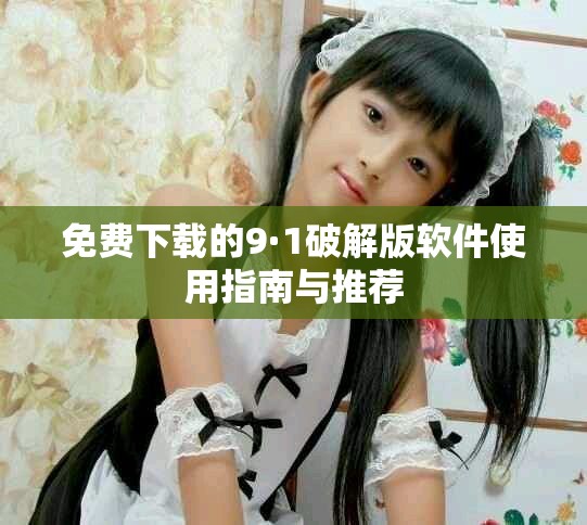 免费下载的9·1破解版软件使用指南与推荐