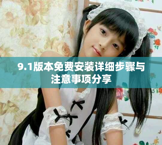9.1版本免费安装详细步骤与注意事项分享