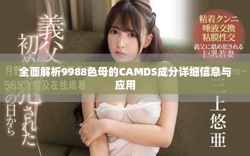 全面解析9988色母的CAMDS成分详细信息与应用