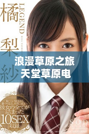 浪漫草原之旅 天堂草原电视剧全集免费观看