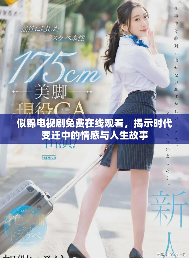 似锦电视剧免费在线观看，揭示时代变迁中的情感与人生故事