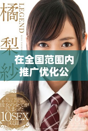 在全国范围内推广优化公共服务体系的舆情分析和研究