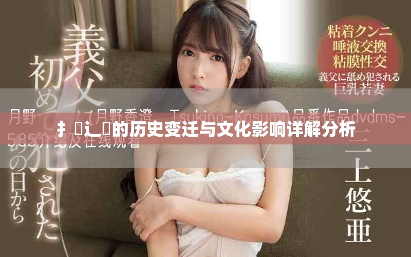 扌喿辶畐的历史变迁与文化影响详解分析