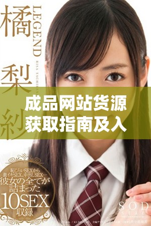 成品网站货源获取指南及入口详解，助你轻松找到优质资源