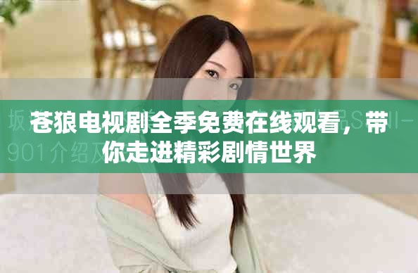 苍狼电视剧全季免费在线观看，带你走进精彩剧情世界