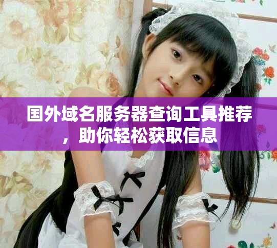 国外域名服务器查询工具推荐，助你轻松获取信息