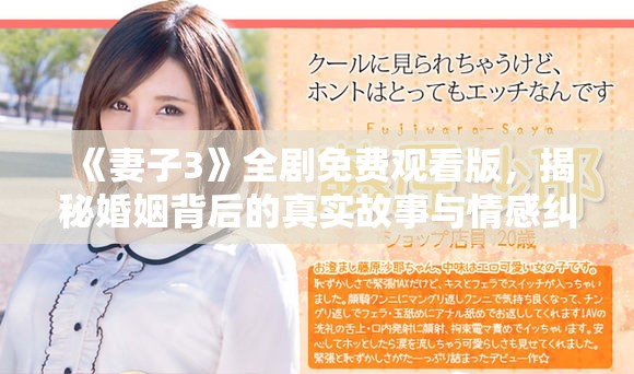 《妻子3》全剧免费观看版，揭秘婚姻背后的真实故事与情感纠葛