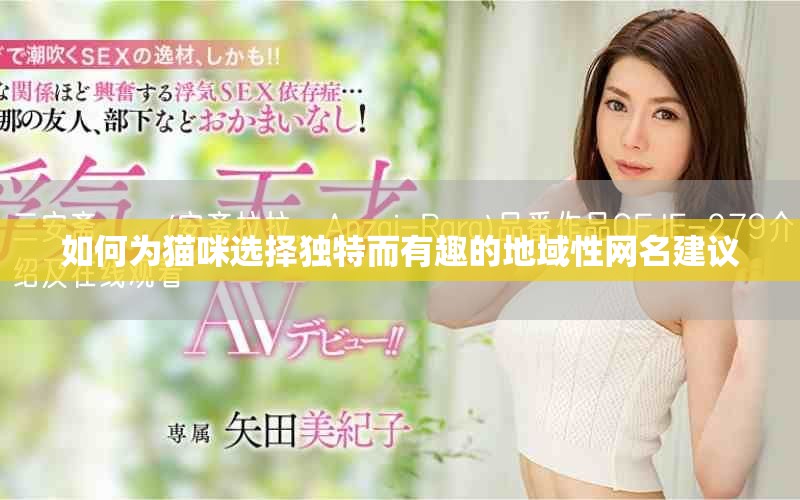 如何为猫咪选择独特而有趣的地域性网名建议