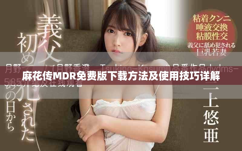 麻花传MDR免费版下载方法及使用技巧详解