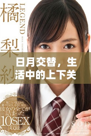 日月交替，生活中的上下关系与和谐共生探讨