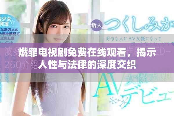 燃罪电视剧免费在线观看，揭示人性与法律的深度交织