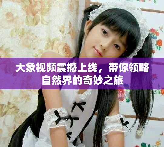 大象视频震撼上线，带你领略自然界的奇妙之旅