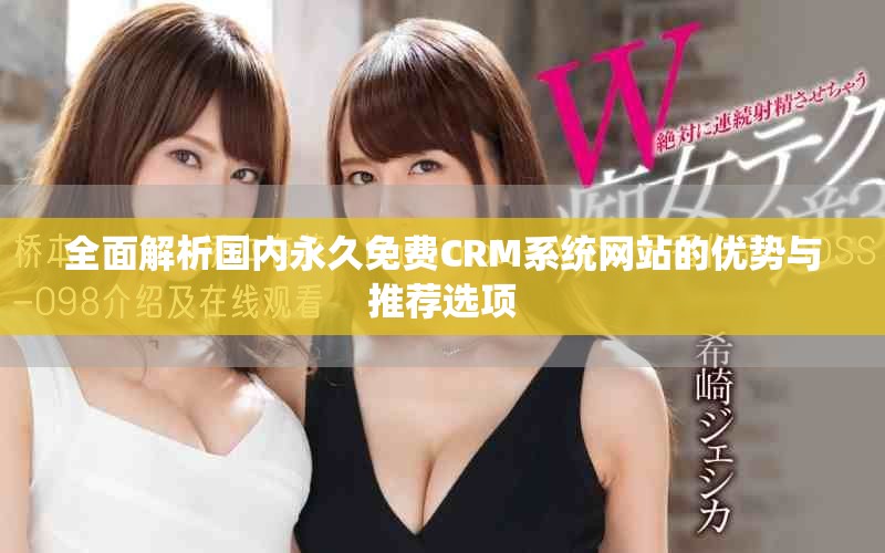全面解析国内永久免费CRM系统网站的优势与推荐选项