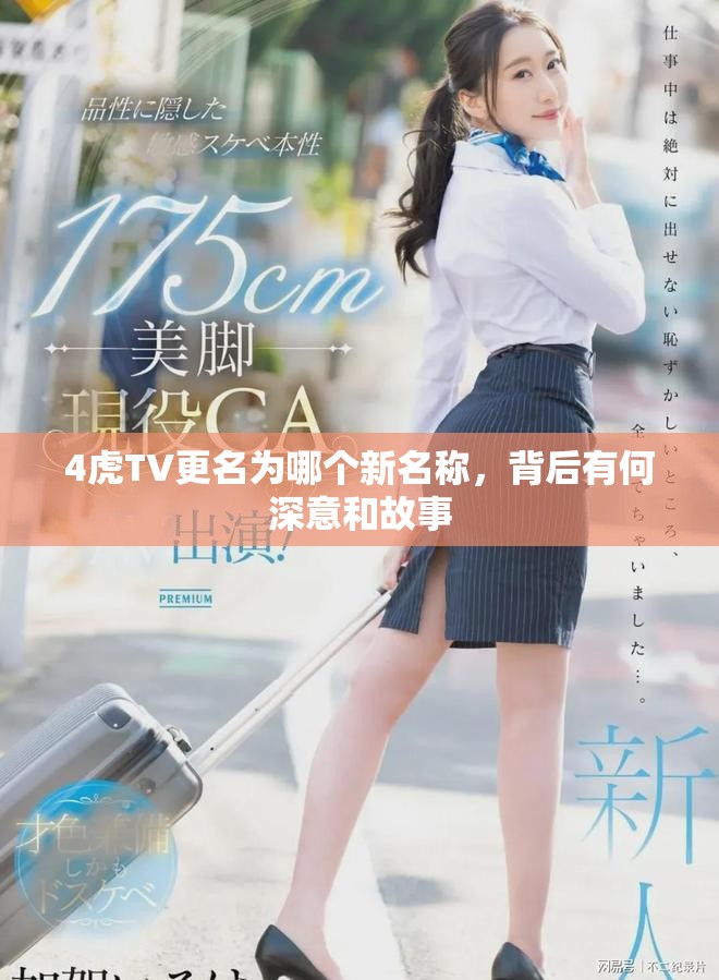 4虎TV更名为哪个新名称，背后有何深意和故事