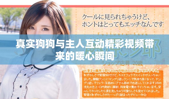 真实狗狗与主人互动精彩视频带来的暖心瞬间