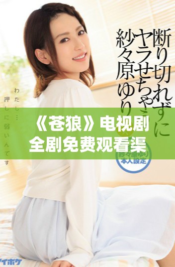 《苍狼》电视剧全剧免费观看渠道揭秘与精彩看点分享