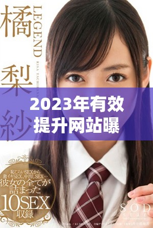 2023年有效提升网站曝光率的多元推广入口分析与建议