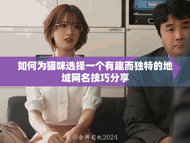 如何为猫咪选择一个有趣而独特的地域网名技巧分享